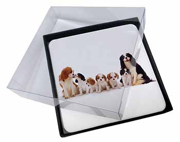 4x King Charles Spaniel Dogs Picture Table Coasters Set in Gift Box