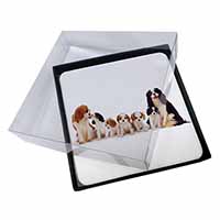 4x King Charles Spaniel Dogs Picture Table Coasters Set in Gift Box