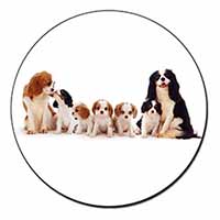 King Charles Spaniel Dogs Fridge Magnet Printed Full Colour
