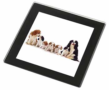 King Charles Spaniel Dogs Black Rim High Quality Glass Coaster