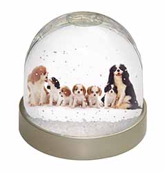 King Charles Spaniel Dogs Snow Globe Photo Waterball