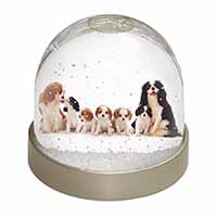 King Charles Spaniel Dogs Snow Globe Photo Waterball