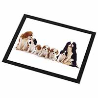 King Charles Spaniel Dogs Black Rim High Quality Glass Placemat