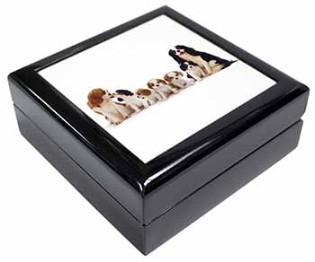 King Charles Spaniel Dogs Keepsake/Jewellery Box