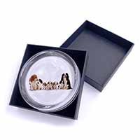 King Charles Spaniel Dogs Glass Paperweight in Gift Box