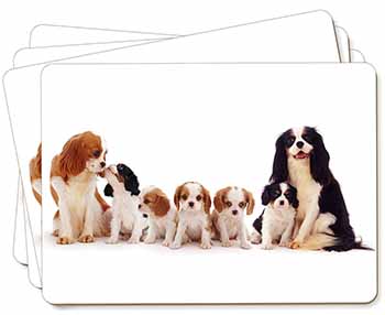 King Charles Spaniel Dogs Picture Placemats in Gift Box