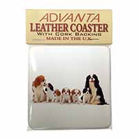 King Charles Spaniel Dogs Single Leather Photo Coaster