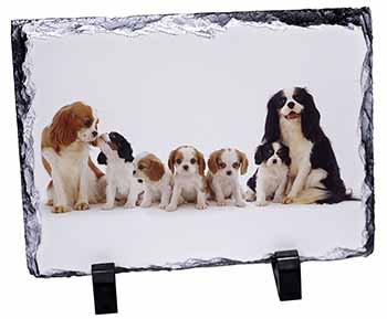 King Charles Spaniel Dogs, Stunning Photo Slate