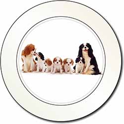 King Charles Spaniel Dogs Car or Van Permit Holder/Tax Disc Holder