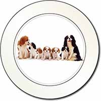 King Charles Spaniel Dogs Car or Van Permit Holder/Tax Disc Holder