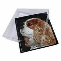 4x Blenheim King Charles Spaniel Picture Table Coasters Set in Gift Box