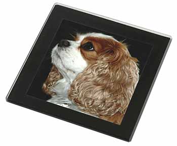 Blenheim King Charles Spaniel Black Rim High Quality Glass Coaster