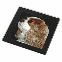 Blenheim King Charles Spaniel Black Rim High Quality Glass Coaster