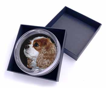 Blenheim King Charles Spaniel Glass Paperweight in Gift Box