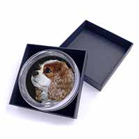 Blenheim King Charles Spaniel Glass Paperweight in Gift Box