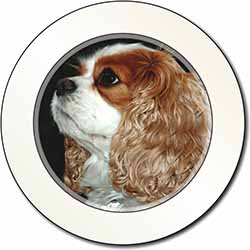 Blenheim King Charles Spaniel Car or Van Permit Holder/Tax Disc Holder