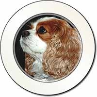 Blenheim King Charles Spaniel Car or Van Permit Holder/Tax Disc Holder