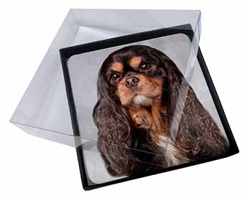 4x Black and Tan King Charles Spaniel Picture Table Coasters Set in Gift Box
