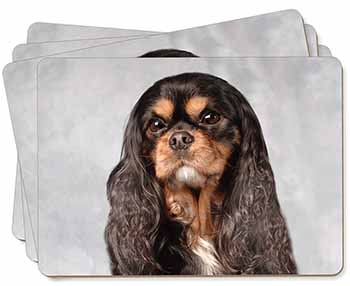 Black and Tan King Charles Spaniel Picture Placemats in Gift Box