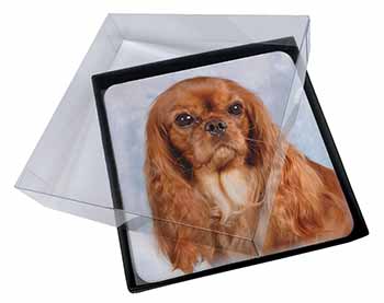 4x Ruby King Charles Spaniel Dog Picture Table Coasters Set in Gift Box