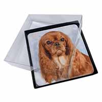 4x Ruby King Charles Spaniel Dog Picture Table Coasters Set in Gift Box