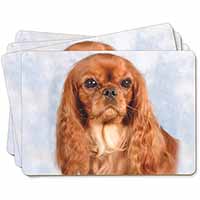 Ruby King Charles Spaniel Dog Picture Placemats in Gift Box