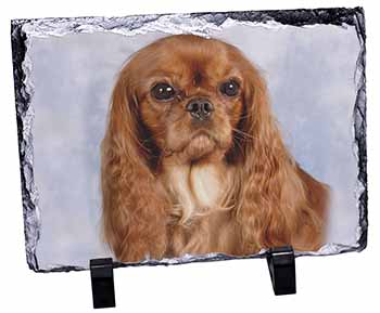 Ruby King Charles Spaniel Dog, Stunning Photo Slate