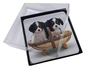 4x King Charles Spaniel Puppy Dogs Picture Table Coasters Set in Gift Box