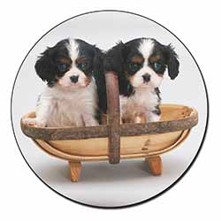 King Charles Spaniel Puppy Dogs Fridge Magnet Printed Full Colour