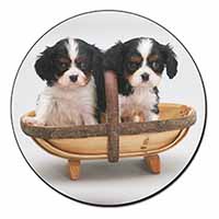 King Charles Spaniel Puppy Dogs Fridge Magnet Printed Full Colour - Advanta Grou