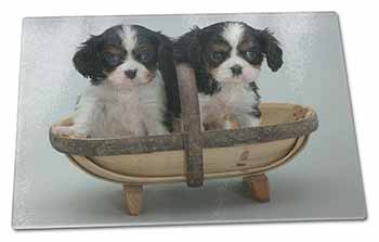 Large Glass Cutting Chopping Board King Charles Spaniel Puppy Dogs