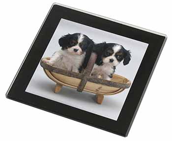 King Charles Spaniel Puppy Dogs Black Rim High Quality Glass Coaster