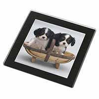 King Charles Spaniel Puppy Dogs Black Rim High Quality Glass Coaster