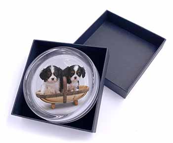 King Charles Spaniel Puppy Dogs Glass Paperweight in Gift Box