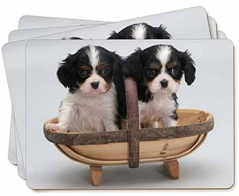 King Charles Spaniel Puppy Dogs Picture Placemats in Gift Box