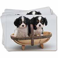King Charles Spaniel Puppy Dogs Picture Placemats in Gift Box - Advanta Group®