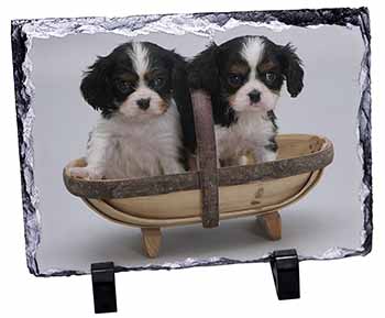 King Charles Spaniel Puppy Dogs, Stunning Photo Slate