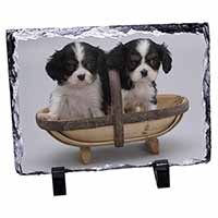 King Charles Spaniel Puppy Dogs, Stunning Photo Slate