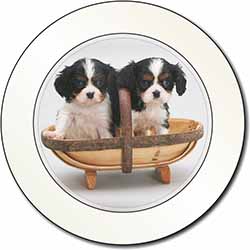 King Charles Spaniel Puppy Dogs Car or Van Permit Holder/Tax Disc Holder