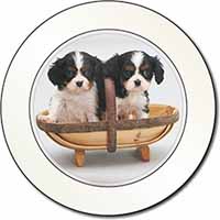 King Charles Spaniel Puppy Dogs Car or Van Permit Holder/Tax Disc Holder- Advant