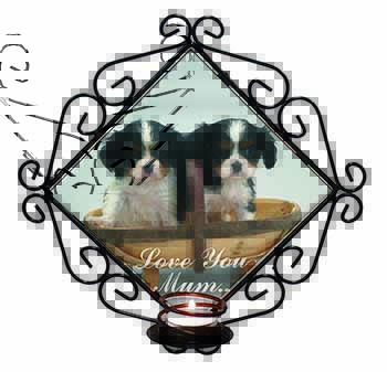 King Charles Puppies 