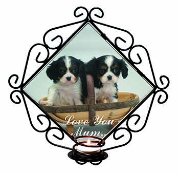 King Charles Puppies 