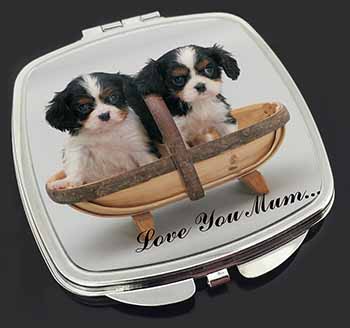 King Charles Puppies 