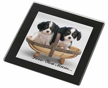 King Charles Puppies 