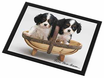 King Charles Puppies 