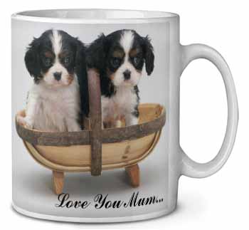 King Charles Puppies 