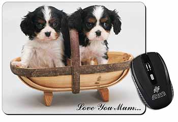 King Charles Puppies 