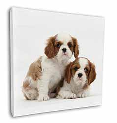 Blenheim King Charles Spaniels Square Canvas 12"x12" Wall Art Picture Print