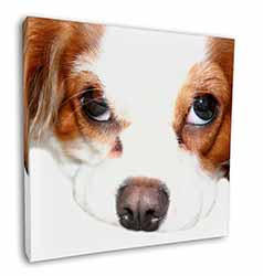 Cavalier King Charles Spaniel Square Canvas 12"x12" Wall Art Picture Print
