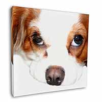 Cavalier King Charles Spaniel Square Canvas 12"x12" Wall Art Picture Print